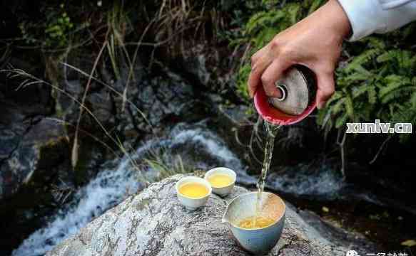 茶叶能种在水里吗吗（茶叶能种在水里吗吗有毒吗） 茶叶能种在水里吗吗（茶叶能种在水里吗吗有毒吗）《茶叶可以种吗》 茶叶资讯