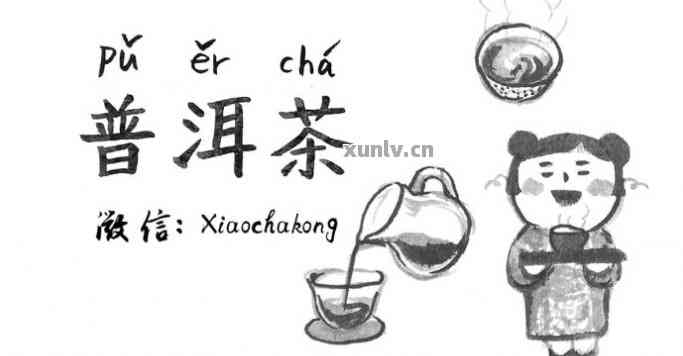 普洱茶怎么画简笔画