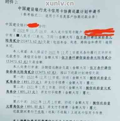 信用卡无法偿还被起诉怎么办(钱信用卡被起诉了没还款能力怎么办)