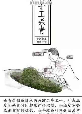 茶叶杀青简笔画图片