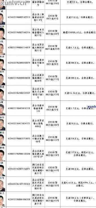 欠多少钱会被列入失信被执行人：额度与失信名单详解