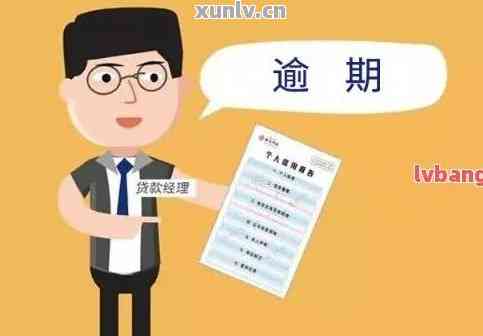 全面解析：贷款逾期后，背调是否能顺利查到相关信息？